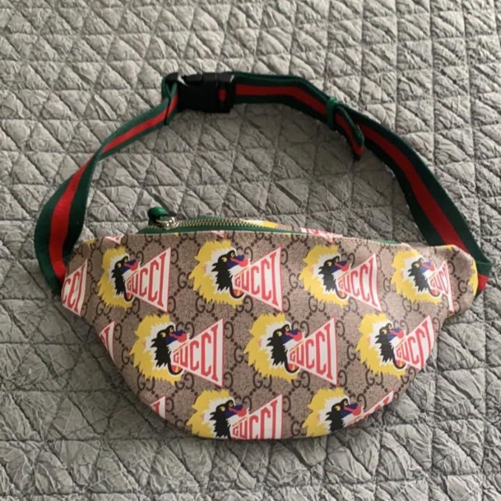 Fanny pack waist bag brand new